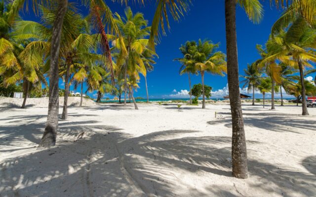 Plage Guadeloupe